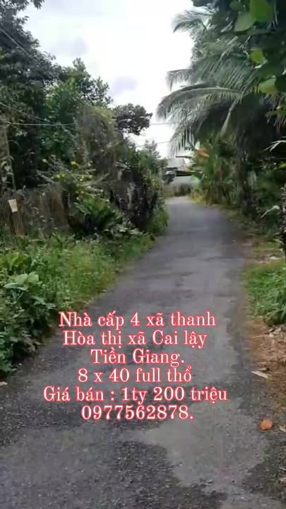 Nhà cấp 4 xã Thanh Hòa, thị xã Cai Lậy 320m² giá 1.2 tỷ - Thương lượng trực tiếp với chủ!