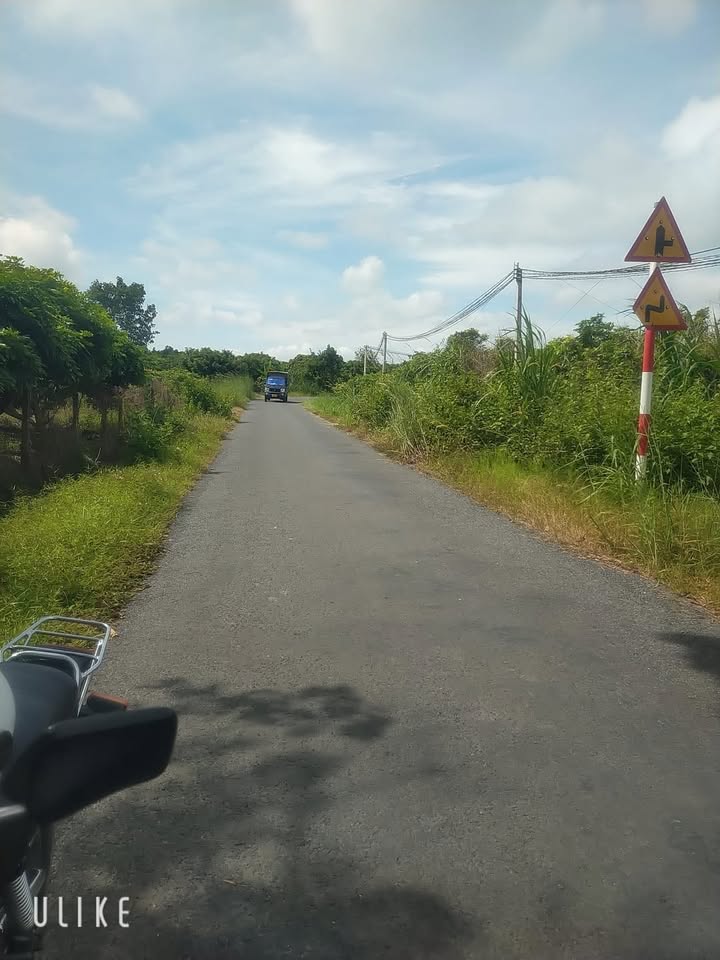Đất nền đường nhựa Long Hoa Tây Ninh 1.500m² giá chỉ 750 triệu - Cơ hội đầu tư tốt!