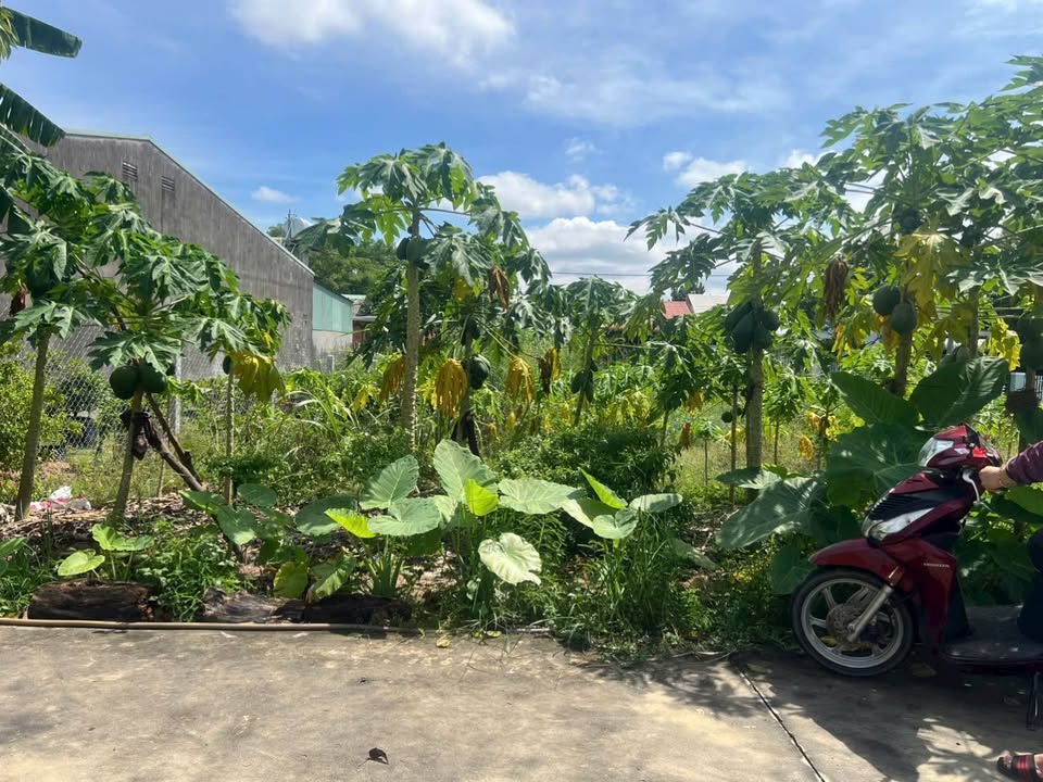 Đất thổ cư 300m² xã Ninh Sơn giá 3.15 tỷ - Đầu tư sinh lời ngay!