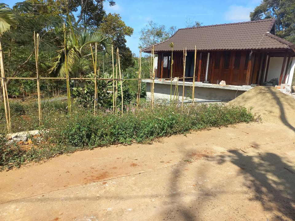 Đất nền Tân Lập Buôn Ma Thuột 120m² giá 700 triệu - Cơ hội đầu tư sinh lời!