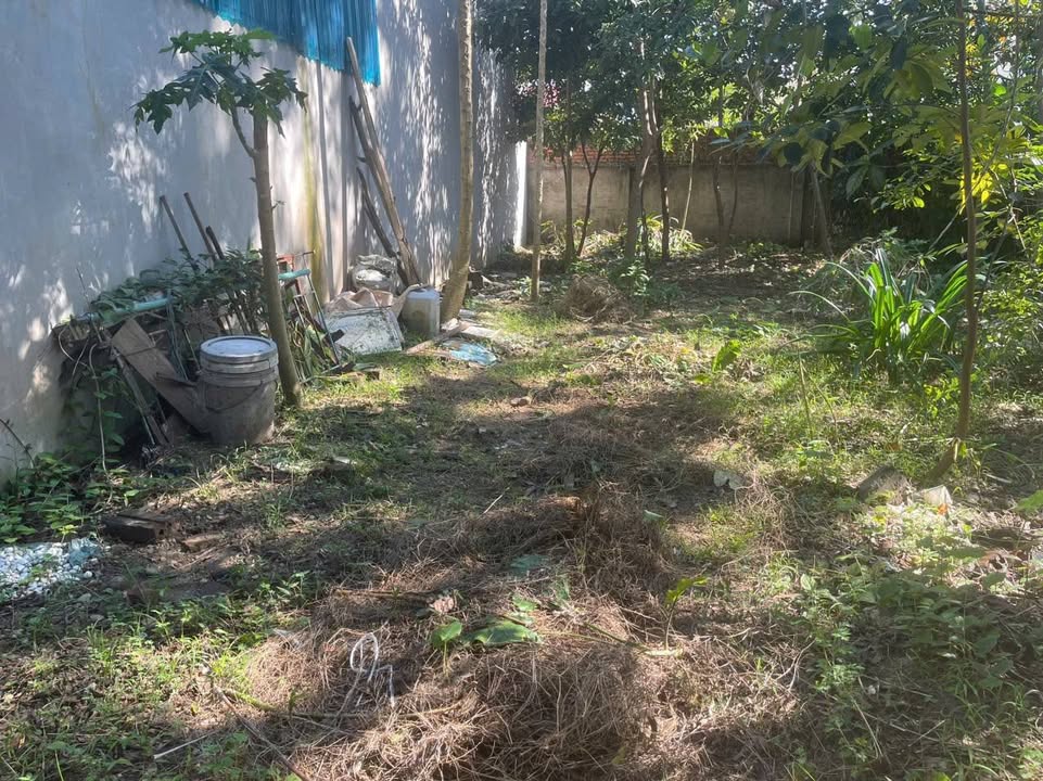 Đất nền Phú Thọ 72m² giá chỉ 1 tỷ - Đầu tư sinh lời ngay!