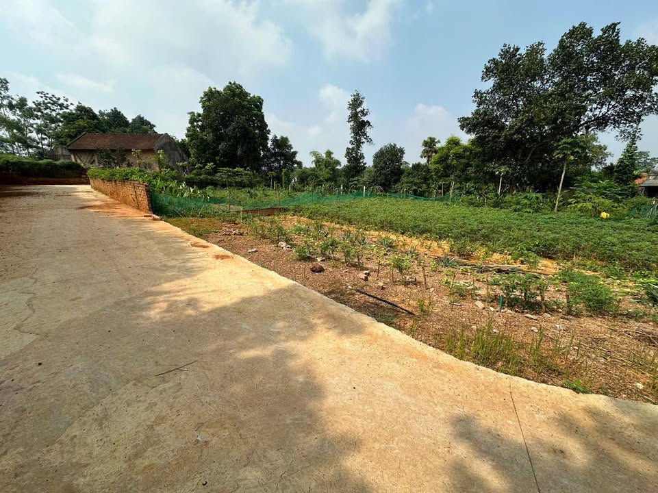 Đất nền khu 7 Thanh Đình 135m² giá chỉ 800 triệu - Cơ hội đầu tư tuyệt vời!