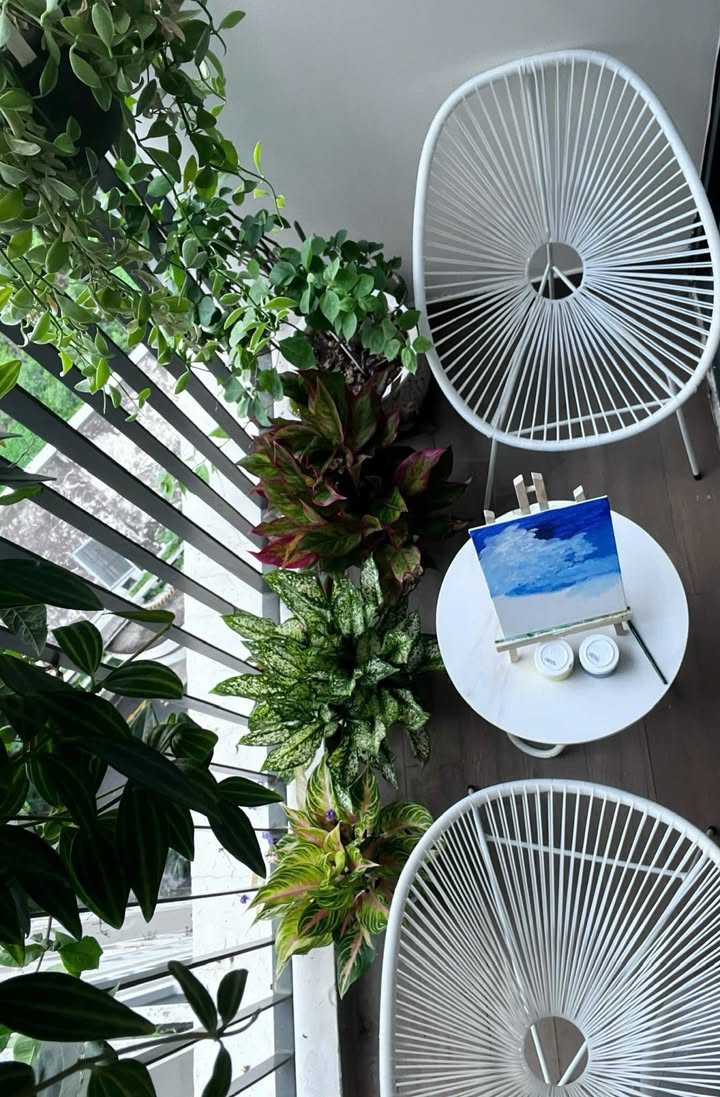 Căn hộ Westbay Văn Giang 45m² giá 2 tỷ - Thiết kế tinh tế, sẵn sàng vào ở!