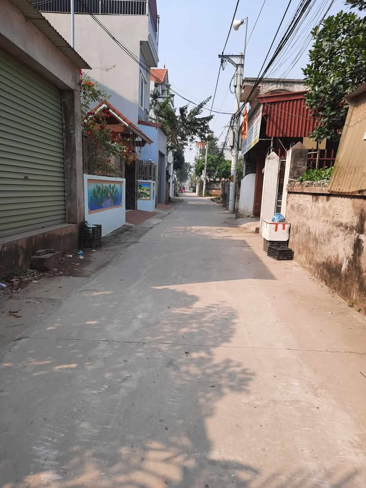 Đất thổ cư Thư Phú Thường Tín 64.3m² - Đường rộng ô tô vào tận nơi!