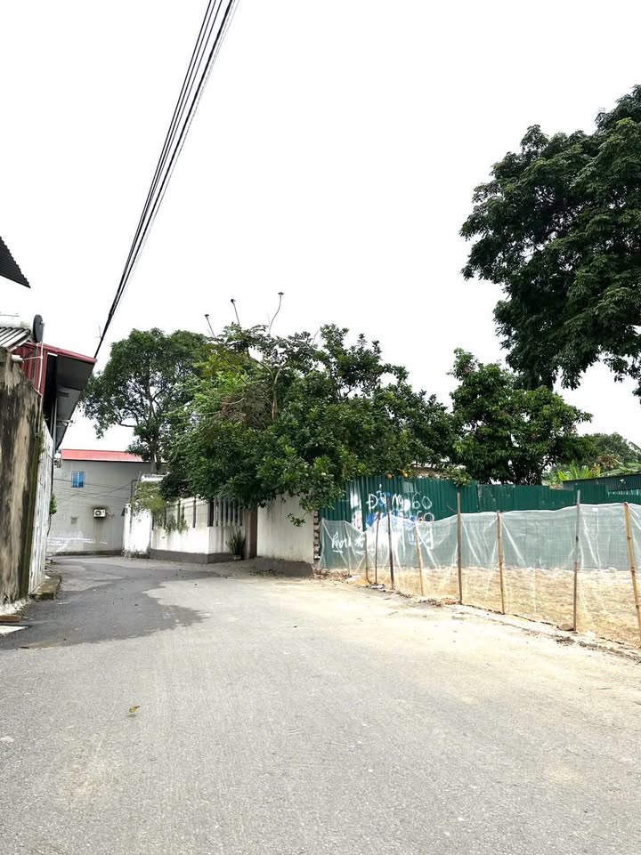 Đất nền TDP Hà, P.Tự Lạn, Việt Yên, Bắc Giang 655m² giá 5 tỷ - Cơ hội đầu tư tuyệt vời!