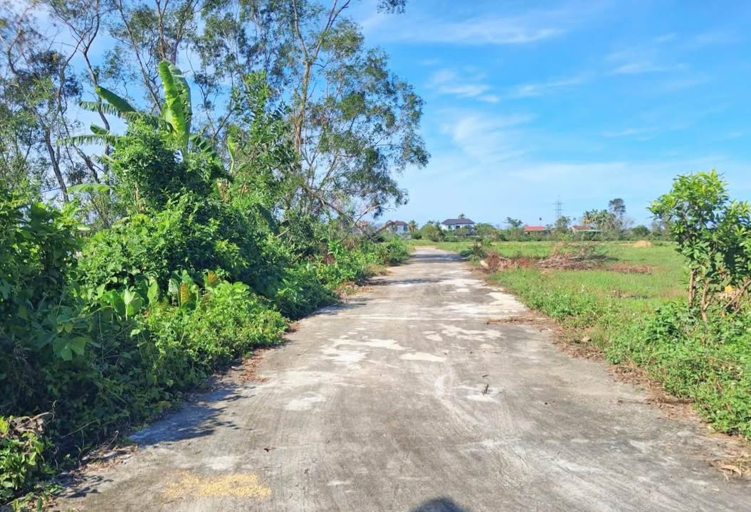 Đất thổ cư Thôn Bình Tiến, Thạch Hà 179m² giá 1 tỷ - Vị trí đẹp, tiện ích đầy đủ!