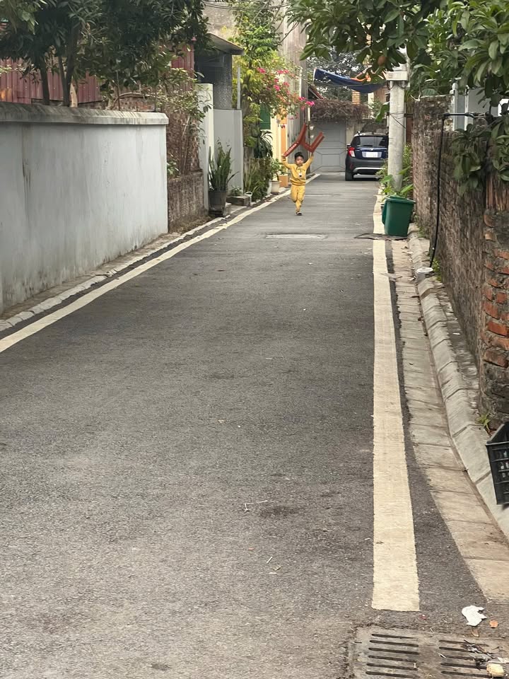 Đất Đặng Xá Gia Lâm 52m² giá 4.6 tỷ - Đường ô tô vào tận nơi!