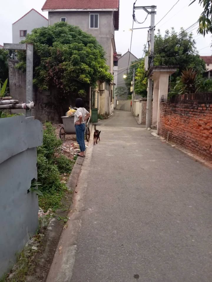 Đất thổ cư Kiêu Kỵ, Gia Lâm 79m² giá 3.55 tỷ - Sổ đỏ chính chủ, ô tô đỗ cửa!