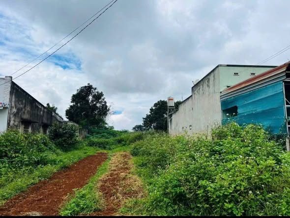 Đất thổ cư 300m² đường Lê Thị Pha, Đức Trọng giá 5 tỷ - Cơ hội đầu tư tuyệt vời!