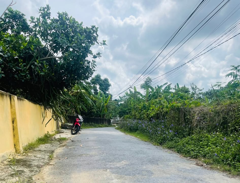 Đất Thanh Lĩnh Nghệ An 138m² giá 900 triệu - Cơ hội đầu tư tuyệt vời!