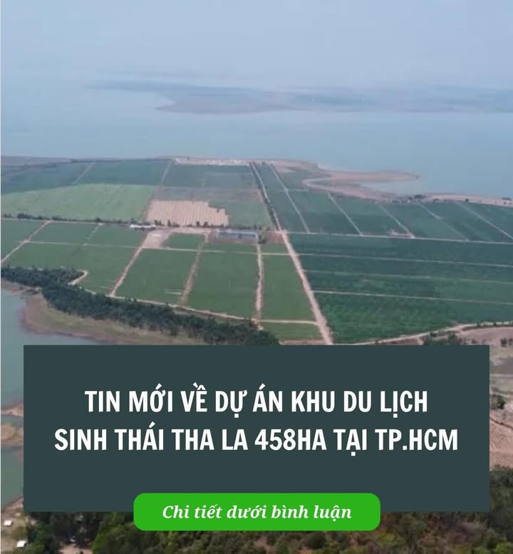 Đất thổ cư 380m² Định Thành, Dầu Tiếng - Giá 700 triệu - Sổ riêng chính chủ!