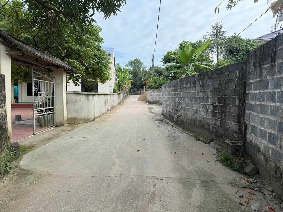 Đất đầu tư Mãn Chiêm, Hồng Tiến, Phổ Yên 123m² giá chỉ 700 triệu - Cơ hội vàng cho nhà đầu tư!