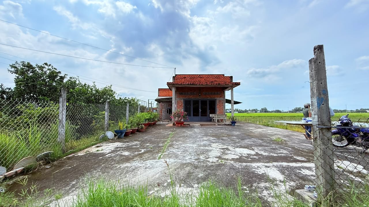 Lô đất vườn 1.700m² tại Hòa Khánh Đông, Đức Hòa, giá chỉ 3.55 tỷ - Đầu tư sinh lời ngay!