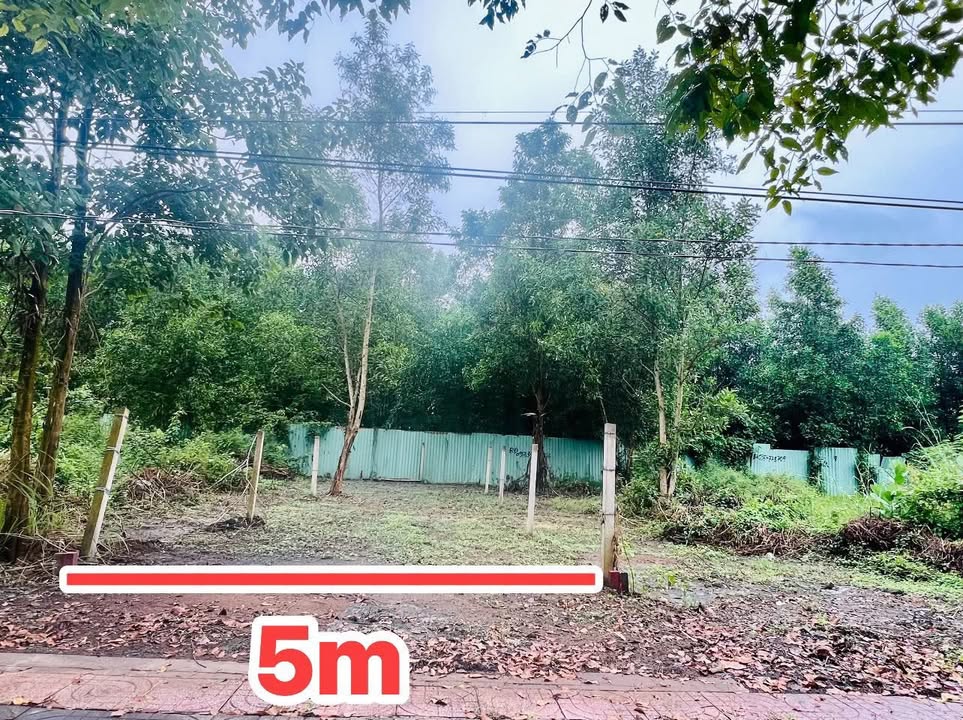 Đất nền mặt tiền TL52, xã Long Tân, 100m² giá 1.79 tỷ - Đầu tư sinh lời ngay!