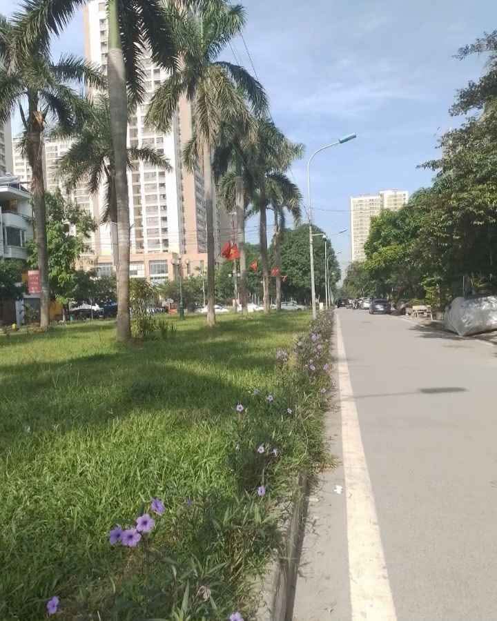 Nhà liền kề KĐT Tân Tây Đô Đan Phượng 90m² giá thỏa thuận - Đầu tư sinh lời cao!