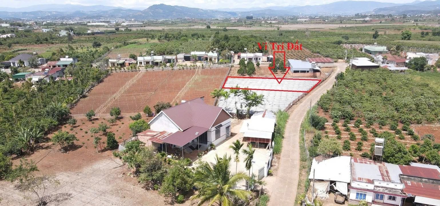 Đất nền Tân Hội, Đức Trọng, Lâm Đồng 472m² giá 1.5 tỷ - Đầu tư sinh lời ngay!