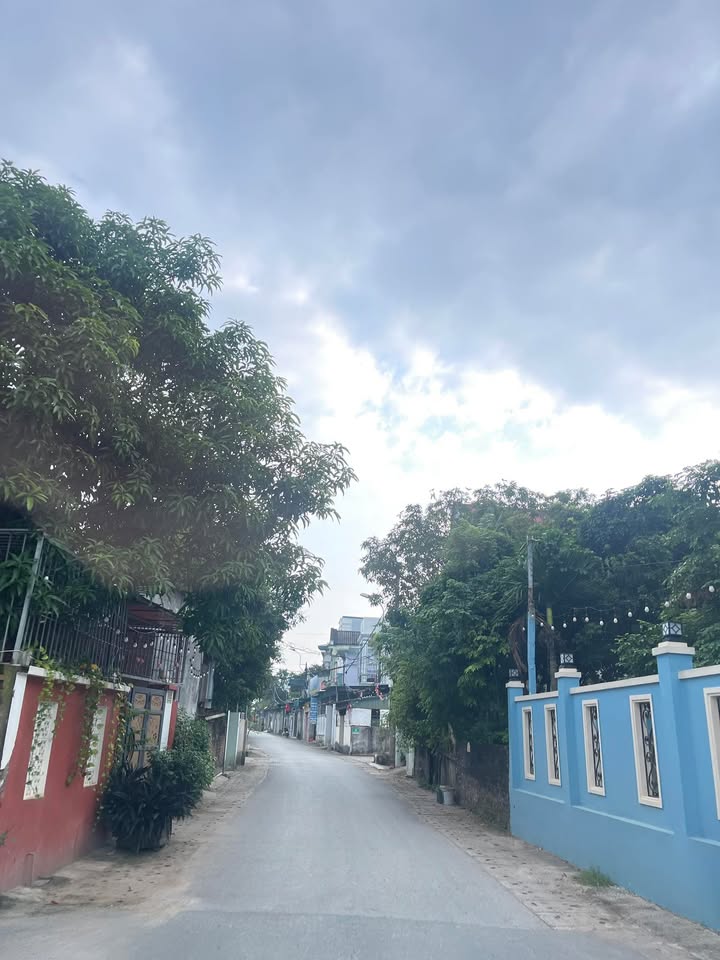 Bán đất 115m² Trần Nhân Tông, Hòa Bình - Mặt tiền 5m, kinh doanh tốt!