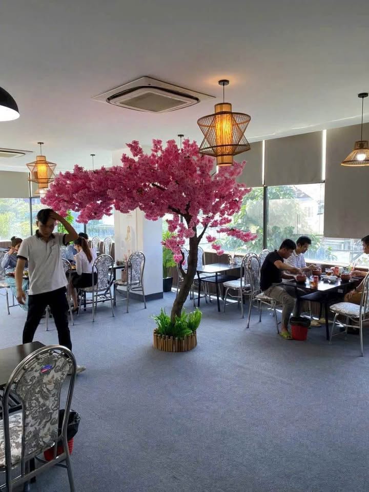 Văn phòng cho thuê đường Võ Thị Sáu, Biên Hòa 7 triệu - Vị trí đắc địa, thuận tiện kinh doanh!