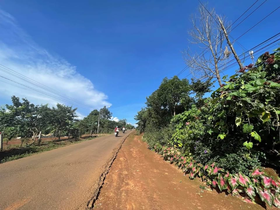 Đất nền Vũ Lăng Iakenh, Pleiku 145m² chỉ 210 triệu - Bìa sẵn, thuận tiện xây dựng!