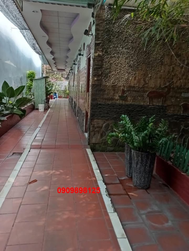 Biệt thự sang trọng trên đường Nguyễn Thị Tú, Bình Tân 126m² giá 15 tỷ - Thiết kế tinh tế, sẵn sàng vào ở!