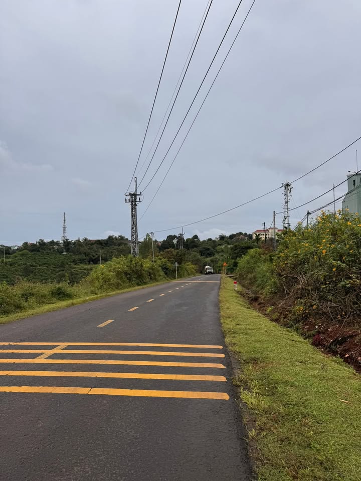 Đất thổ cư 200m² mặt đường Lý Thường Kiệt, Ia Grai - Đầu tư sinh lời ngay!