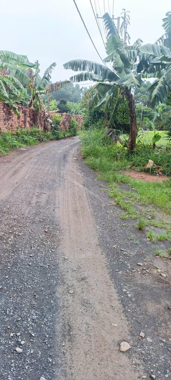 Nhà mới xây 150m² tại Trảng Bom, Đồng Nai giá 560 triệu - Tiện nghi đầy đủ!