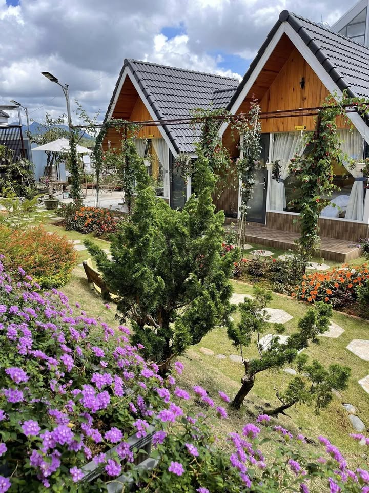 Cho thuê villa và bungalow sân vườn 2000m² Lý Thường Kiệt Đà Lạt giá 50 triệu/tháng - Không gian nghỉ dưỡng lý tưởng!