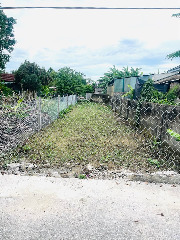 Đất ở Vinh Hưng 124m² giá 1.431 tỷ - Cơ hội đầu tư sinh lời!