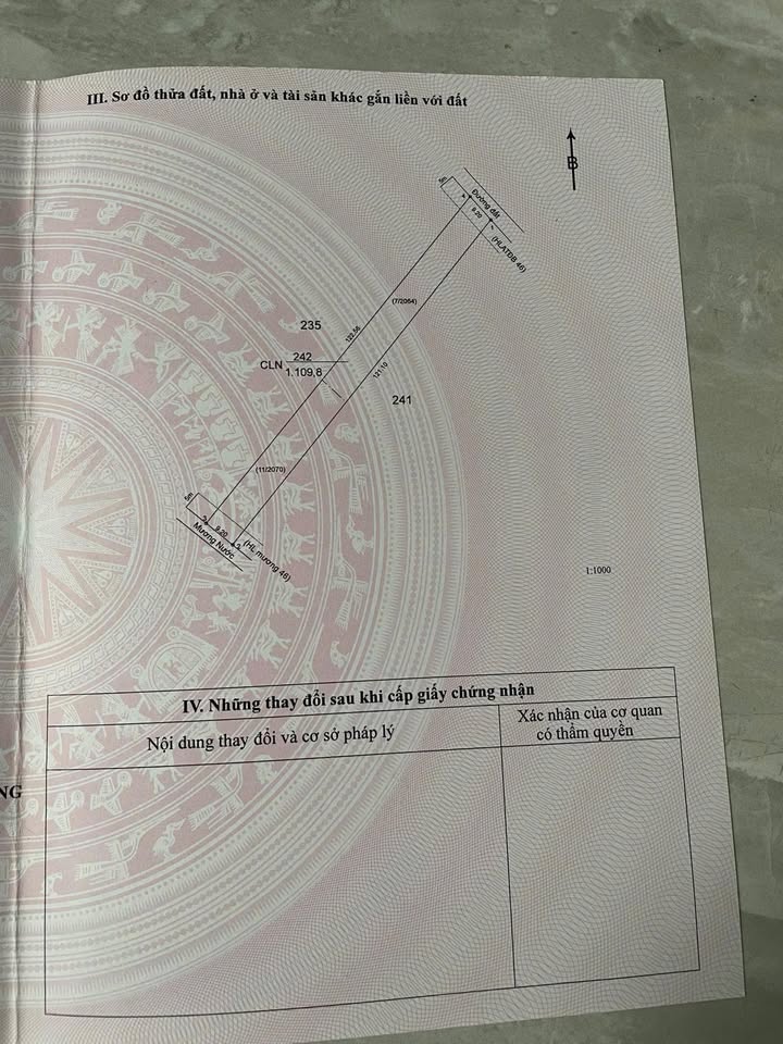 Đất nền Định An Dầu Tiếng 1000m² giá chỉ 3xx triệu - Cơ hội đầu tư tuyệt vời!