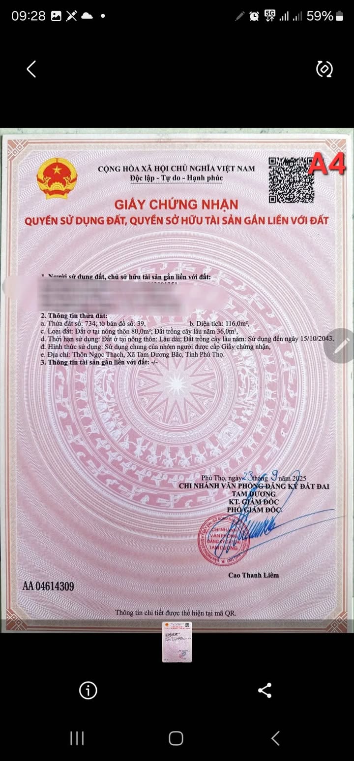 Đất nền Ngọc Thạch, Tam Dương 116m² giá 600 triệu - Đầu tư sinh lời ngay!