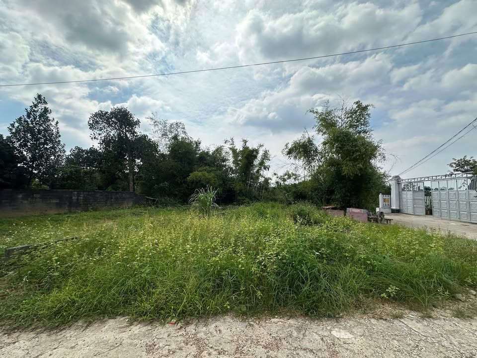 Đất thổ cư Thịnh Đán Thái Nguyên 135m² giá 1.1 tỷ - Mặt tiền đẹp, đầu tư hợp lý!