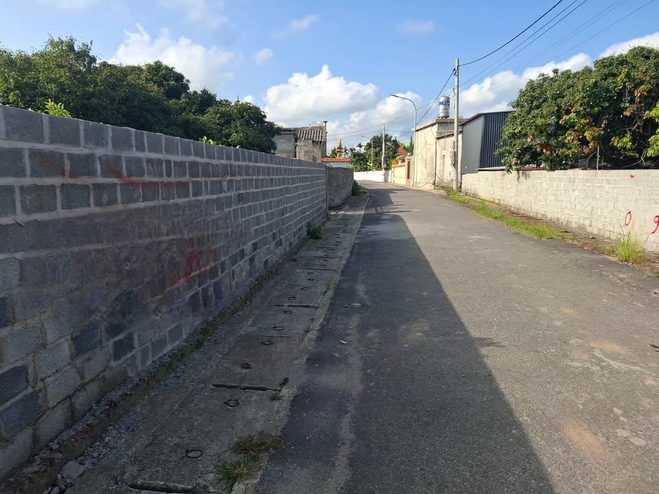 Đất nền chính chủ tại thôn Đại Trang, An Trường, 255m² - Đầu tư sinh lời ngay!