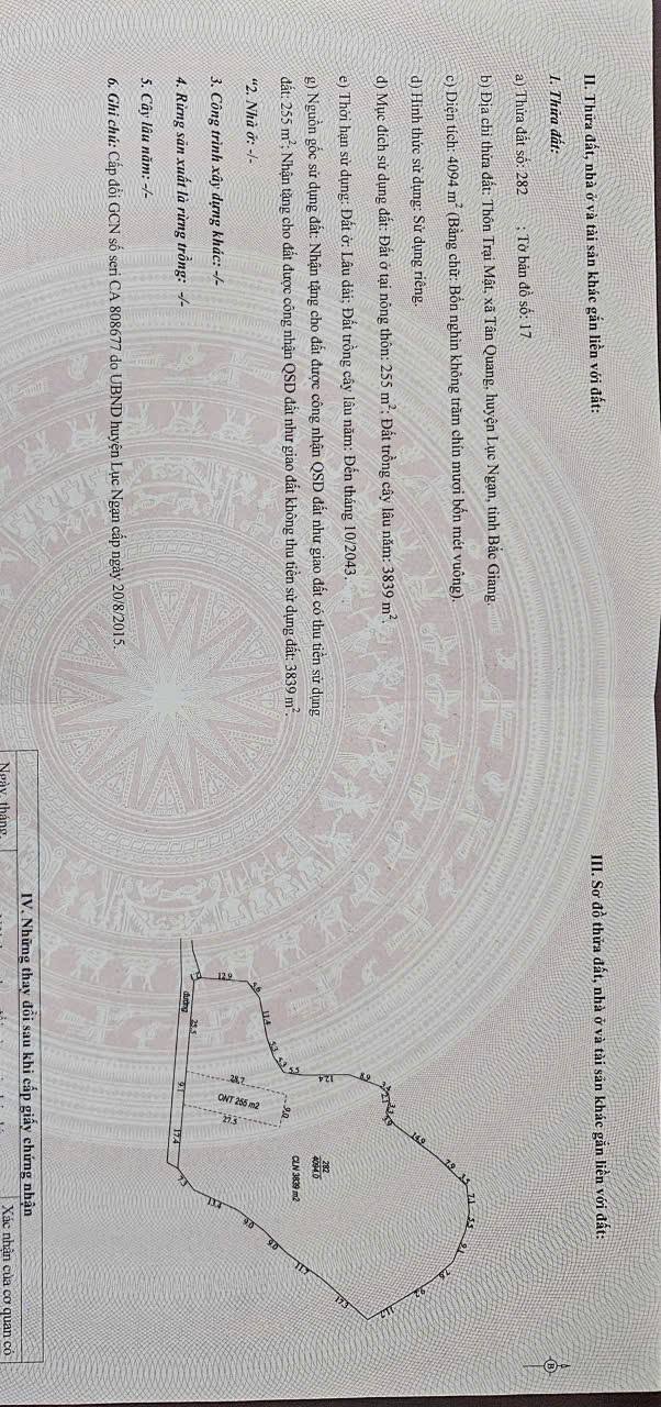 Đất nền Tân Quang Lục Nam 4000m² giá 140 triệu - Cơ hội đầu tư hiếm có!