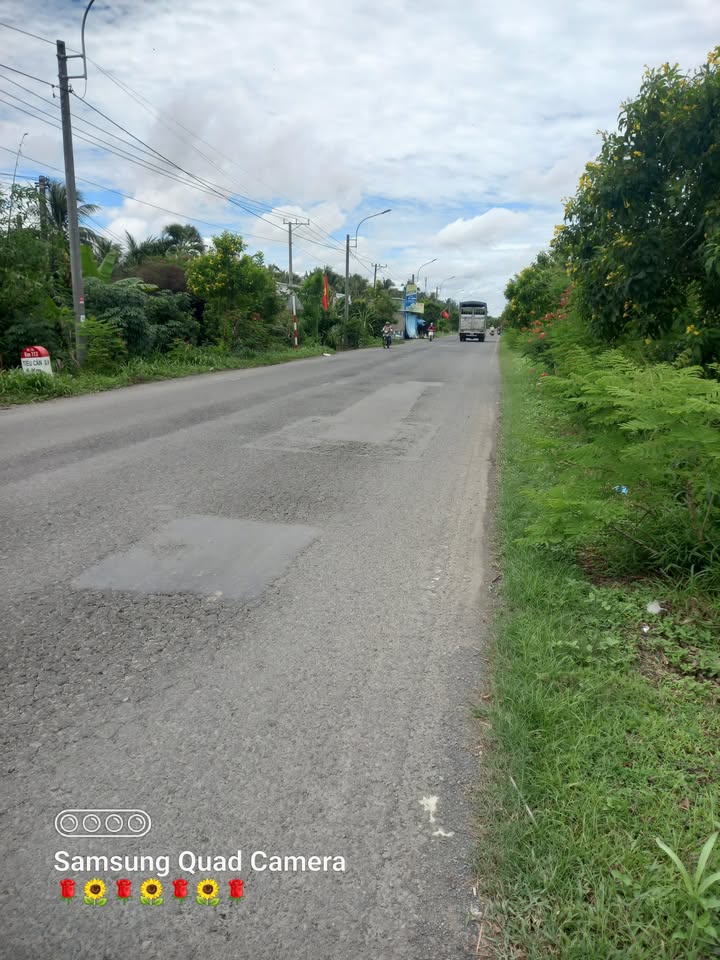 Đất nền mặt tiền Quốc lộ 53, Trà Cú 12.500m² - Cơ hội đầu tư sinh lời!