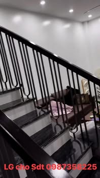 Nhà 2 tầng giá tốt tại Khả Lễ, Võ Cường, Bắc Ninh - Sẵn sàng vào ở!