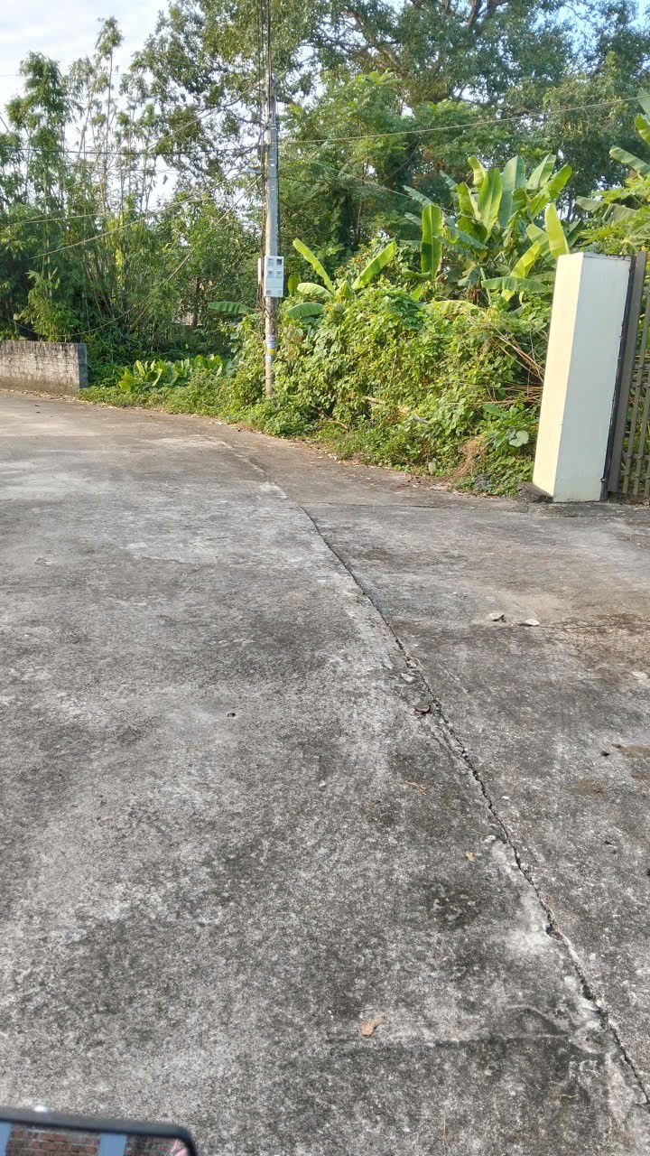 Đất vườn đẹp phường Tây Hoa Lư, Nho Quan 1360m² - Khu nghỉ dưỡng lý tưởng!