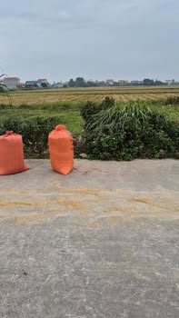 Đất thổ cư Khánh Trung 182m² giá thỏa thuận - Cơ hội đầu tư tuyệt vời!