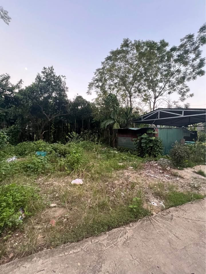 Đất thổ cư 108m² tại Ỷ La, Tuyên Quang giá chỉ 1.9 tỷ - Địa thế cao, giao thông thuận lợi!