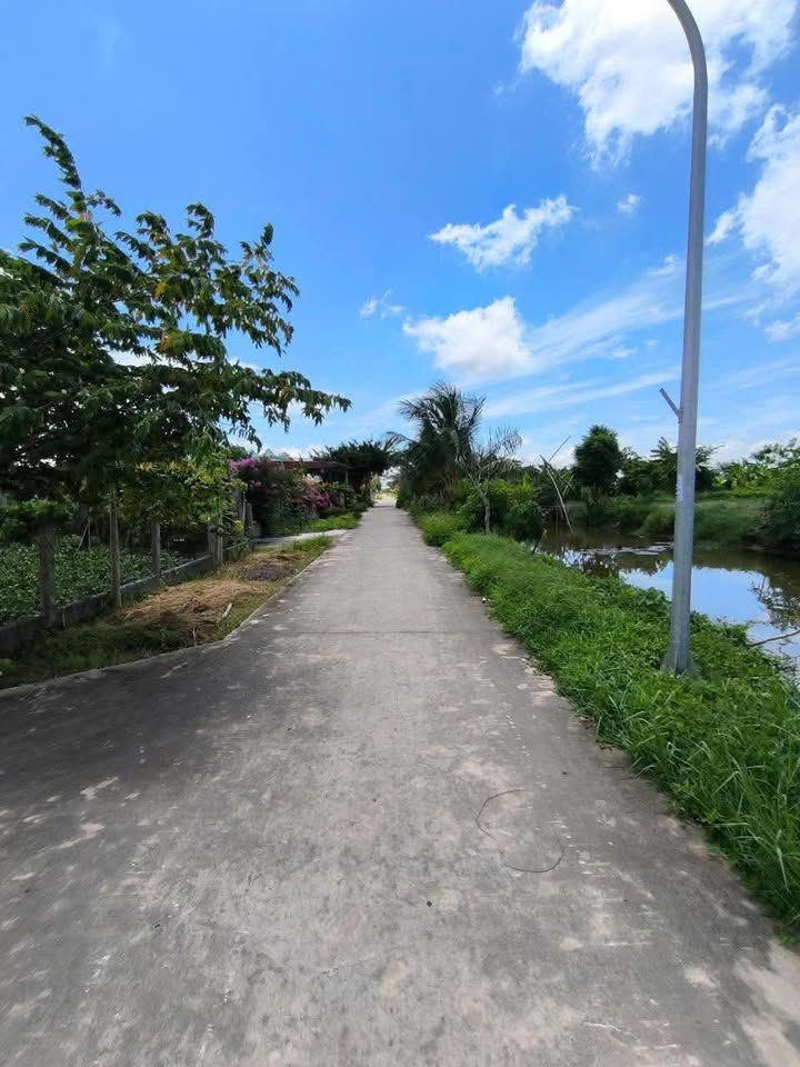 Đất nền xóm 7, xã Nam Điền, 722m² giá 3.6 tỷ - Đầu tư sinh lời ngay!