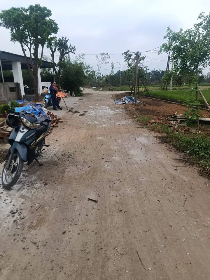 Đất thổ cư Nghi Liên 147m² giá 1 tỷ - Đường QH 11m, hướng Tây Nam!