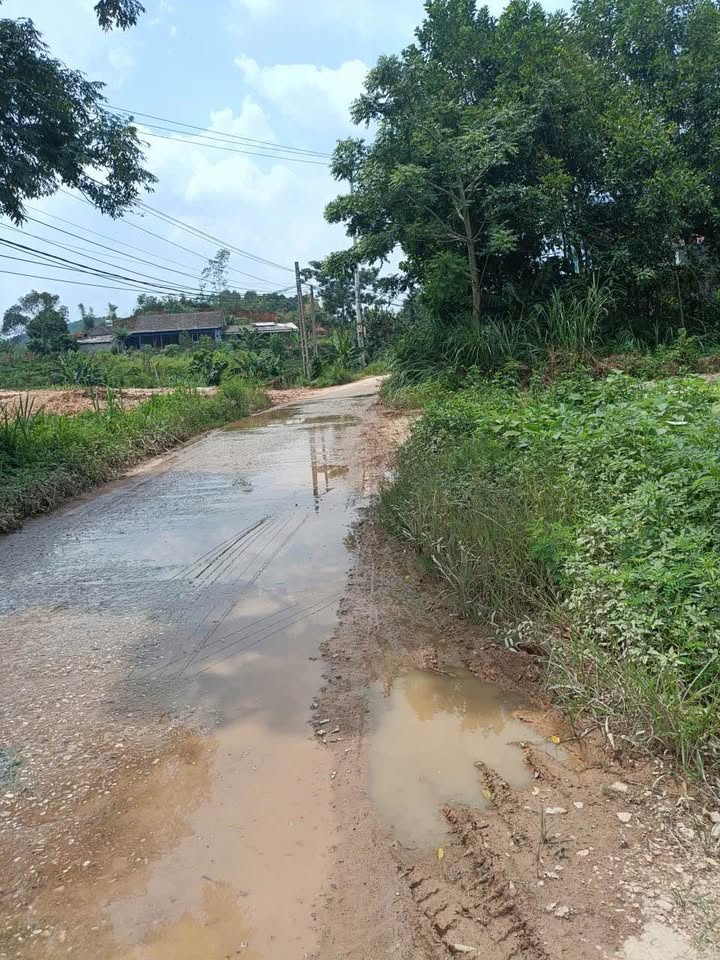 Đất nền Vô Tranh Thái Nguyên 484.6m² giá 1 tỷ - Cơ hội đầu tư sinh lời!