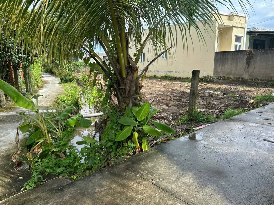 Đất ấp Mỹ Lương, Mỹ Phong, Mỹ Tho 236m² giá 650 triệu - Thương lượng tốt!