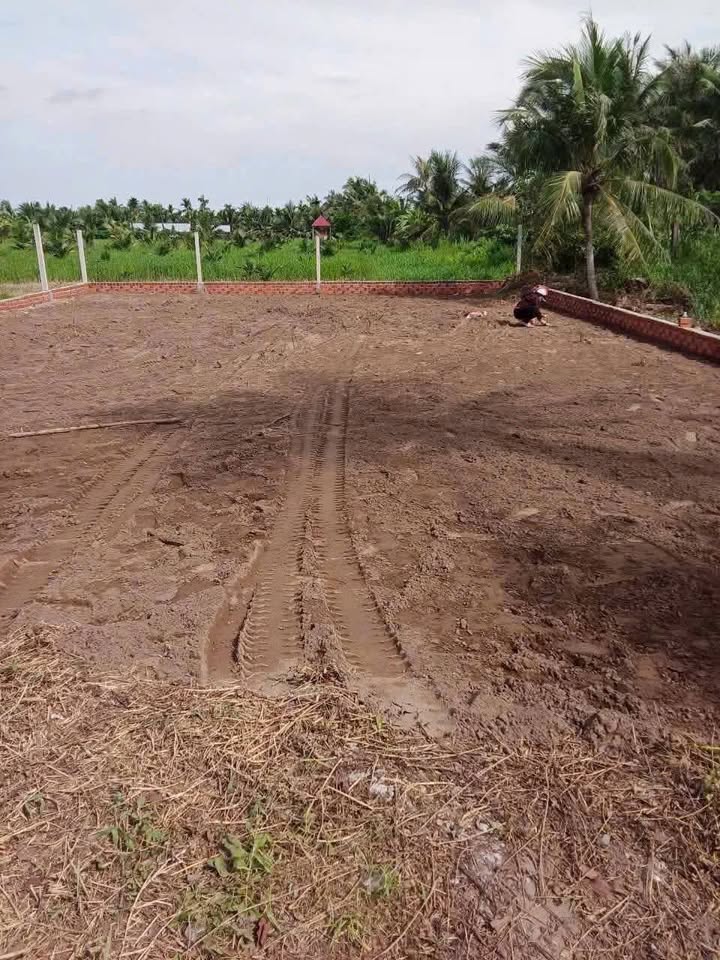 Đất nền mặt tiền Tỉnh Lộ 883, xã Mỹ Hoà, Bến Tre 295m² giá 660 triệu - Cơ hội đầu tư sinh lời!