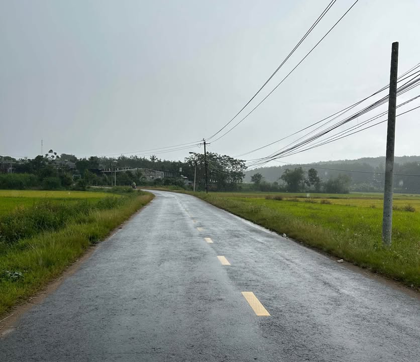 Đất ruộng 1,4 sào tại Đắk Cấm, Kon Tum - Giá thỏa thuận hấp dẫn!