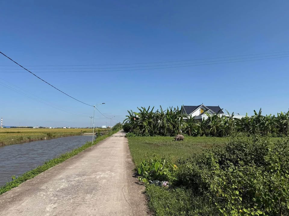 Đất nền TDC Đông Long Tiền Hải 90m² giá 900 triệu - Cơ hội đầu tư tuyệt vời!