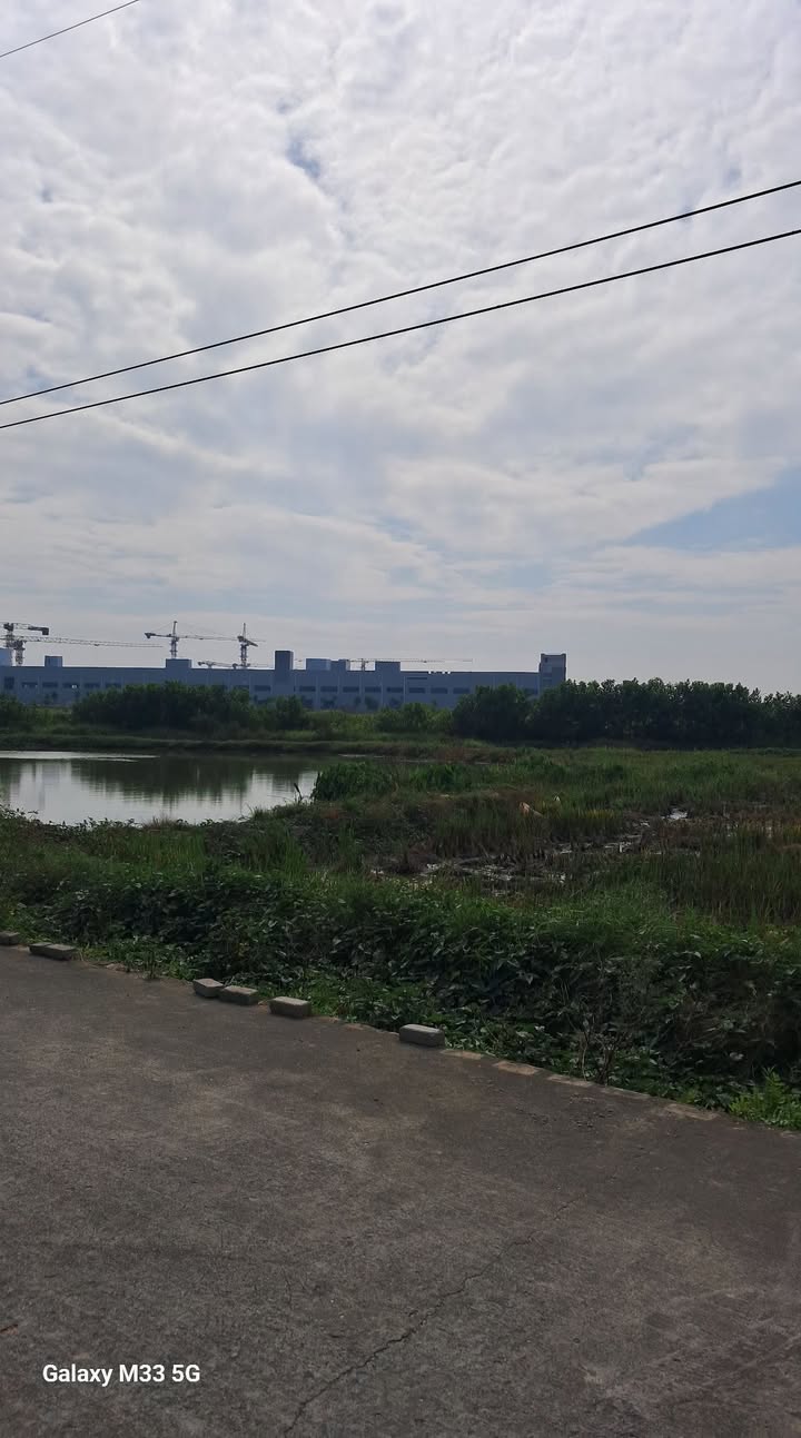 Đất nền Trạm Lộ, Thuận Thành, Bắc Ninh 56m² - Lô góc, giá tốt cho nhà đầu tư!