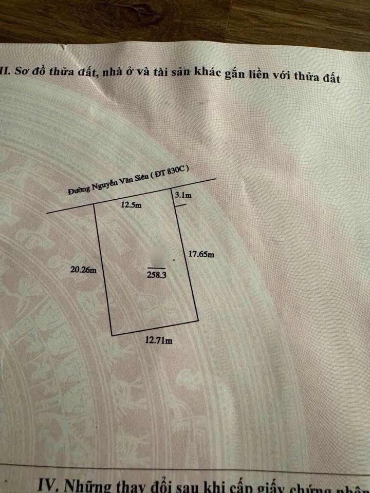 Nhà mặt tiền Nguyễn Văn Siêu, Bến Lức, 258.75m² giá 21 tỷ - Đầu tư sinh lời ngay!