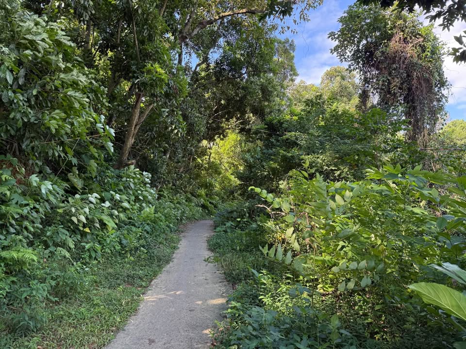 Đất nền Hòa Lạc 400m² giá 400 triệu - Cơ hội đầu tư sinh lời!