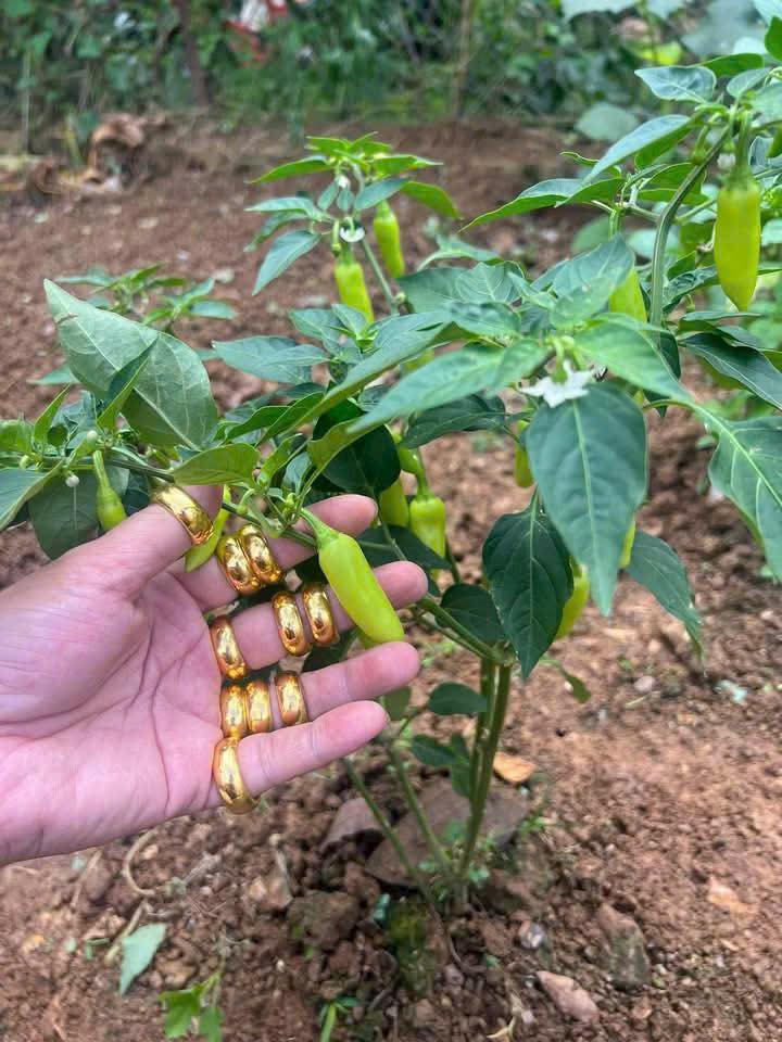 Nhà mặt tiền Lương Thế Vinh 125m² giá 3 tỷ - Đất đẹp, vuông vức!