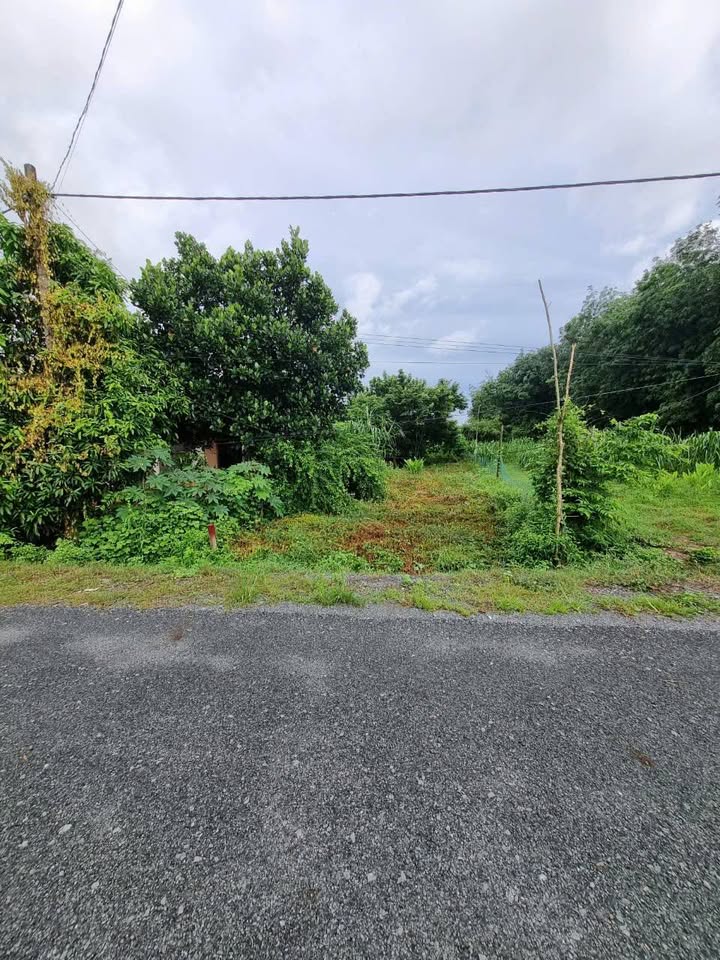 Đất nền An Nhơn Tây Củ Chi 373m² giá 1.69 tỷ - Đường nhựa thông thoáng!